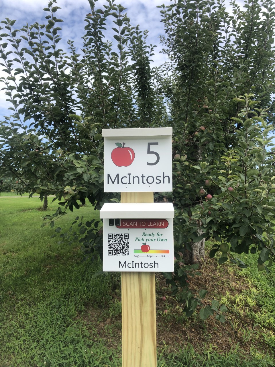 Hope Orchards - McIntosh and Cortland apples- That is what
